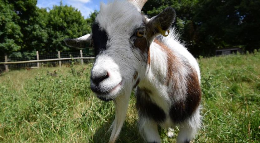 Photo of 2 Bed in Thornfalcon