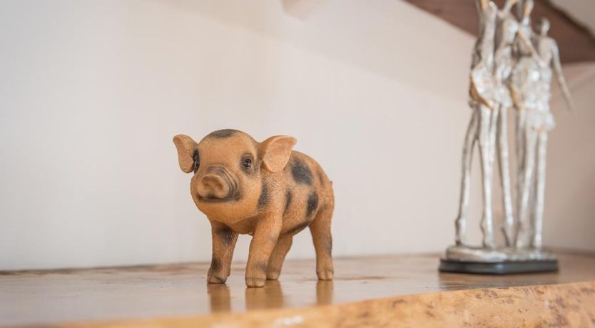 Photo of 7 Bed in Newlands