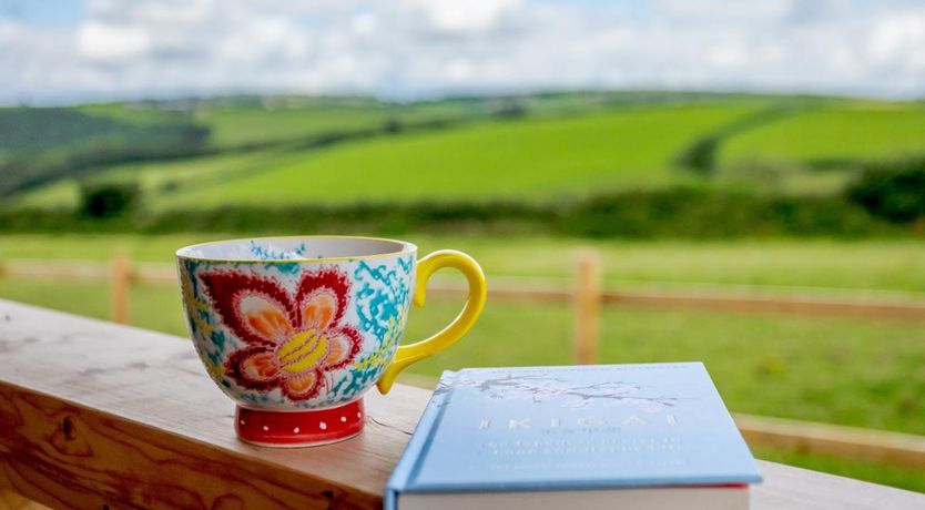 Photo of 1 Bed in Polbathic