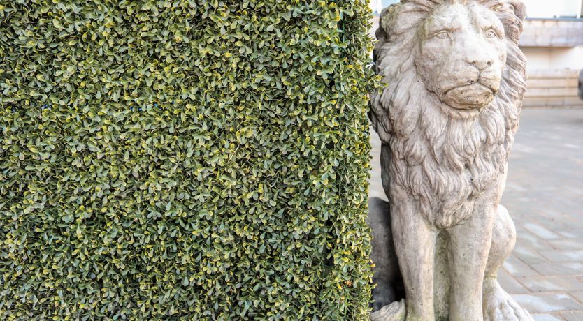 Photo of Bryn Min Manton Penthouse