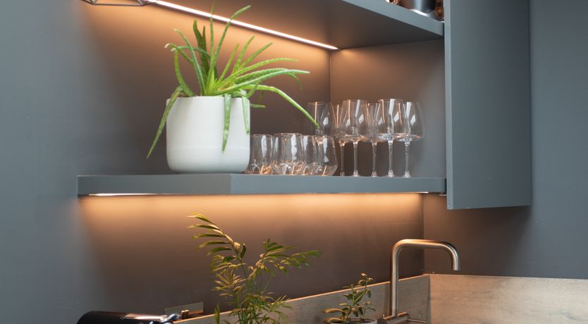 Photo of The Camera Loves Me