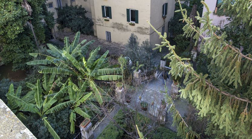 Photo of Through Frosted Glass