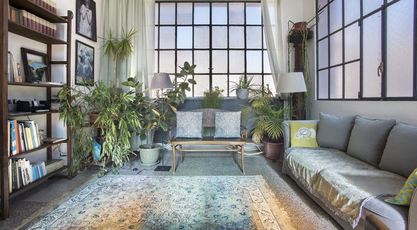 Photo of Through Frosted Glass