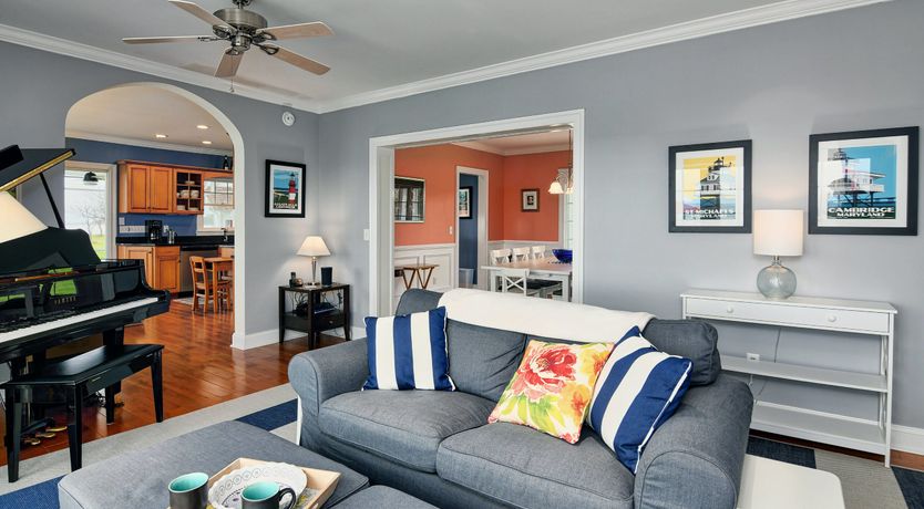 Photo of Spotting Chessie