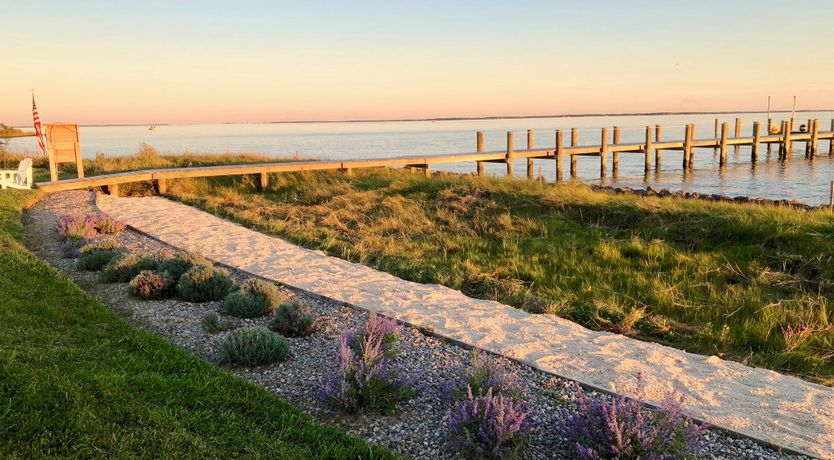 Photo of Spotting Chessie