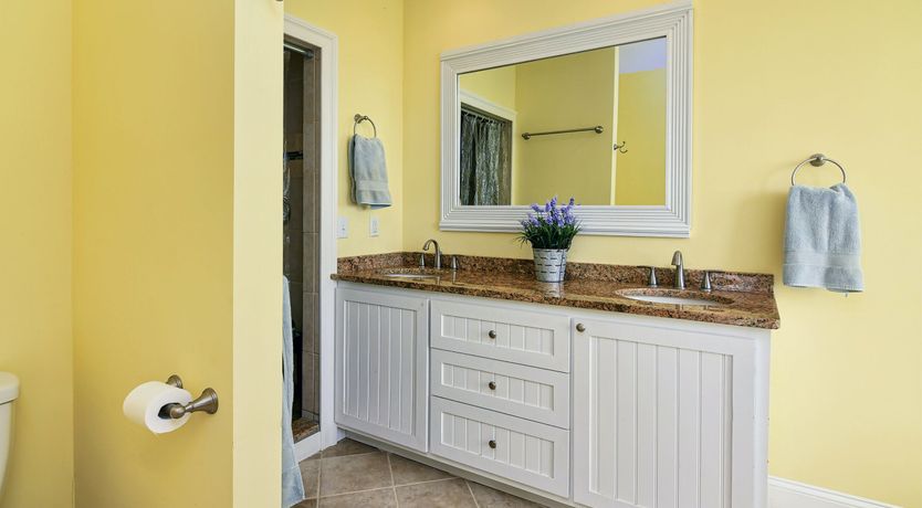 Photo of Spotting Chessie