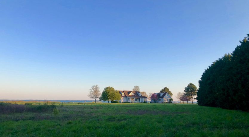 Photo of Spotting Chessie