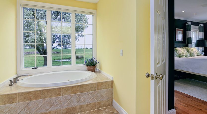 Photo of Spotting Chessie