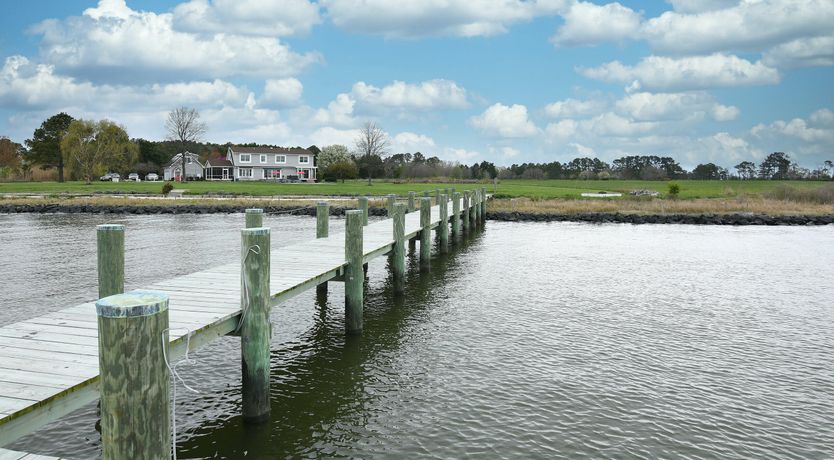 Photo of Spotting Chessie