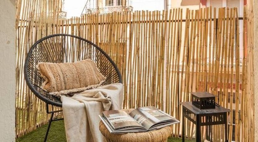 Photo of The Fiddle Leaf