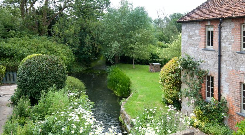 Photo of Cygnet Feather