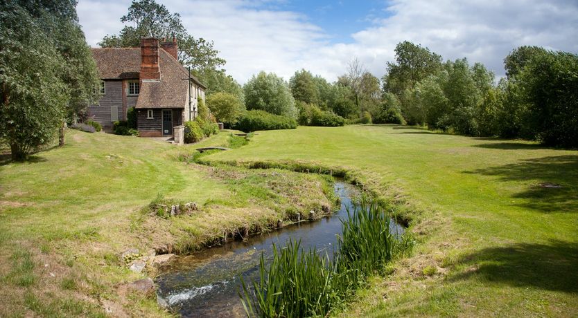 Photo of Cygnet Feather