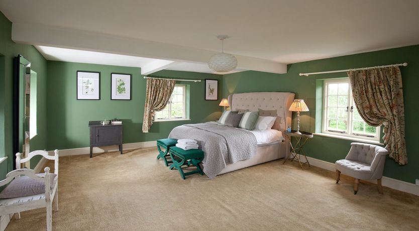 Photo of Cygnet Feather