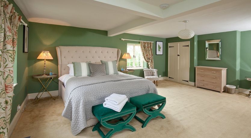 Photo of Cygnet Feather