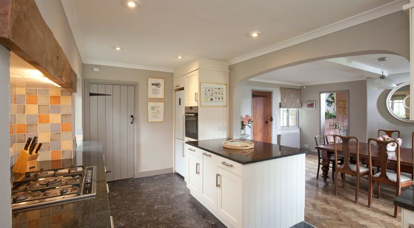 Photo of Cygnet Feather