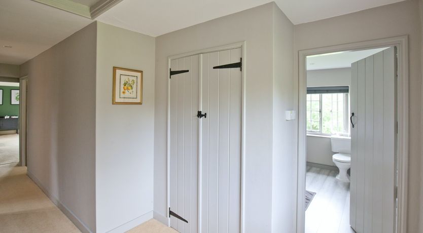 Photo of Cygnet Feather