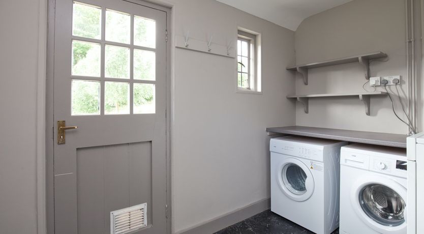 Photo of Cygnet Feather