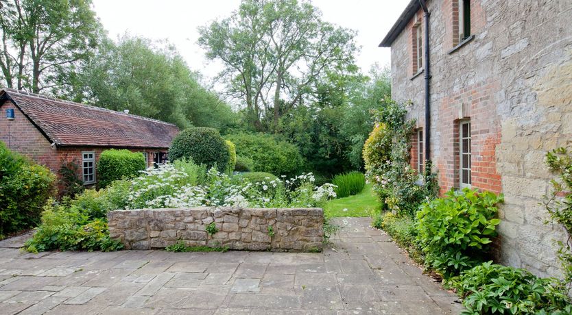 Photo of Cygnet Feather