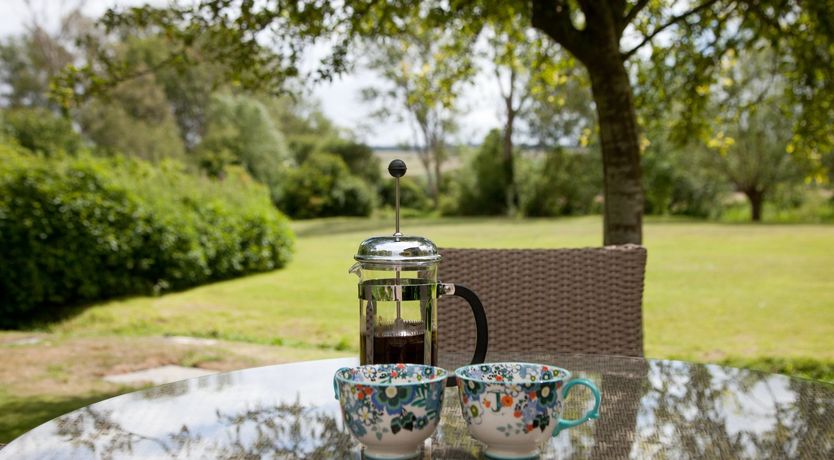 Photo of Cygnet Feather