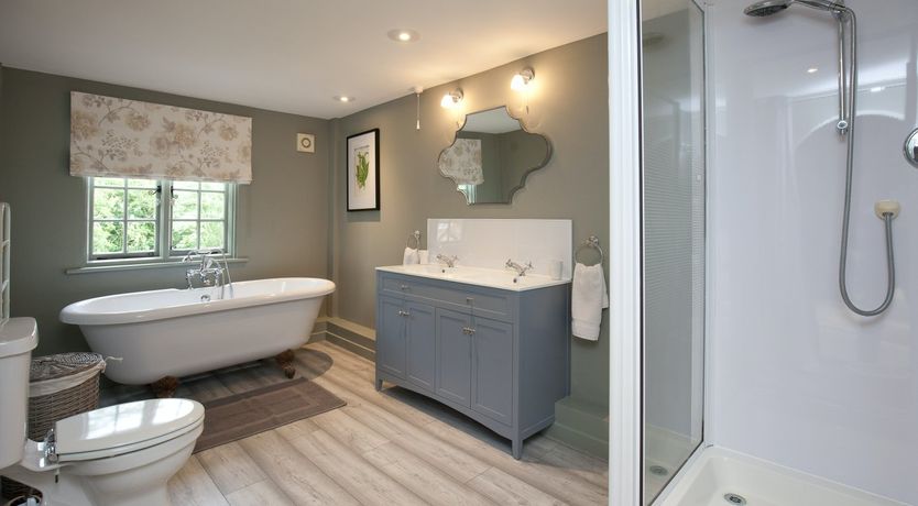 Photo of Cygnet Feather