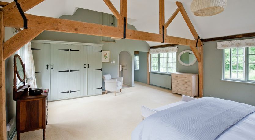 Photo of Cygnet Feather