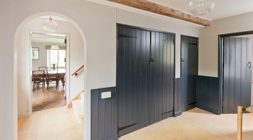 Photo of Cygnet Feather