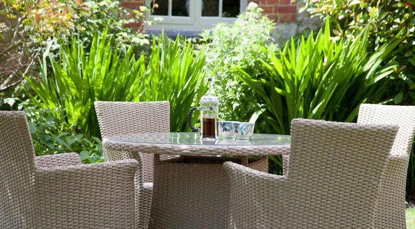 Photo of Cygnet Feather
