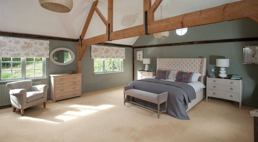 Photo of Cygnet Feather