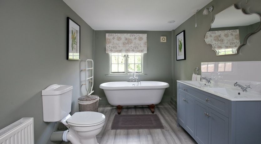 Photo of Cygnet Feather