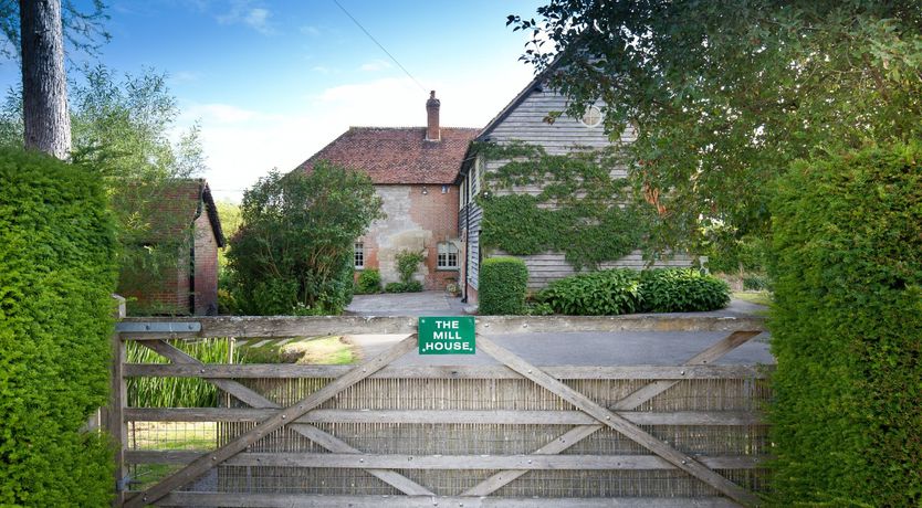 Photo of Cygnet Feather