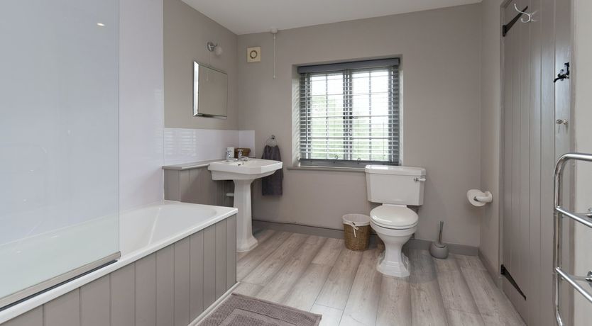 Photo of Cygnet Feather