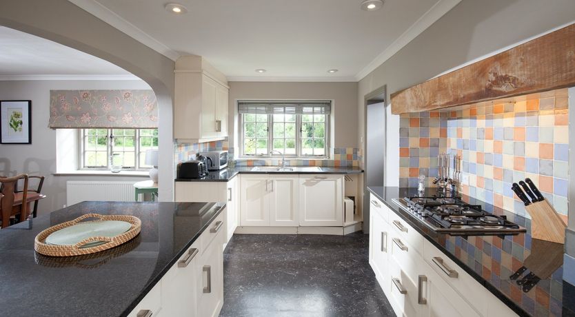 Photo of Cygnet Feather