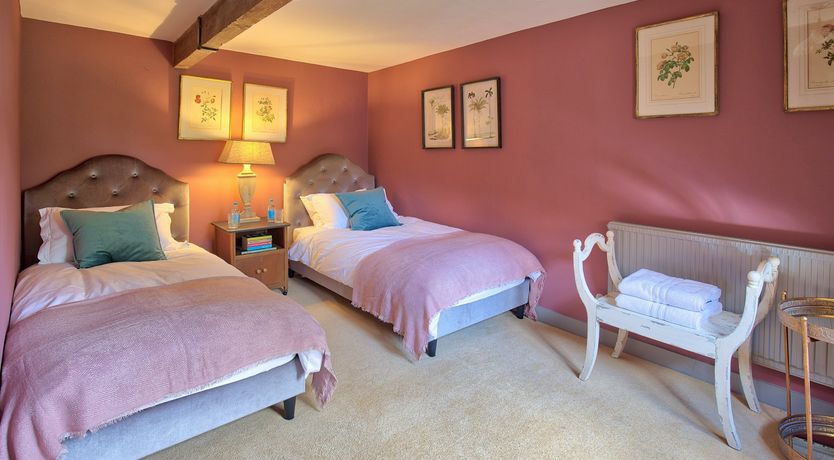 Photo of Cygnet Feather