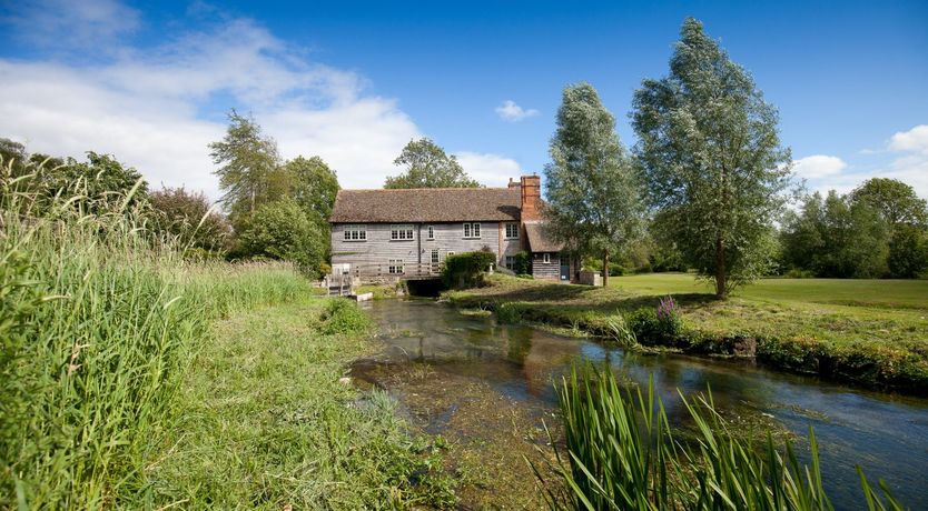Photo of Cygnet Feather