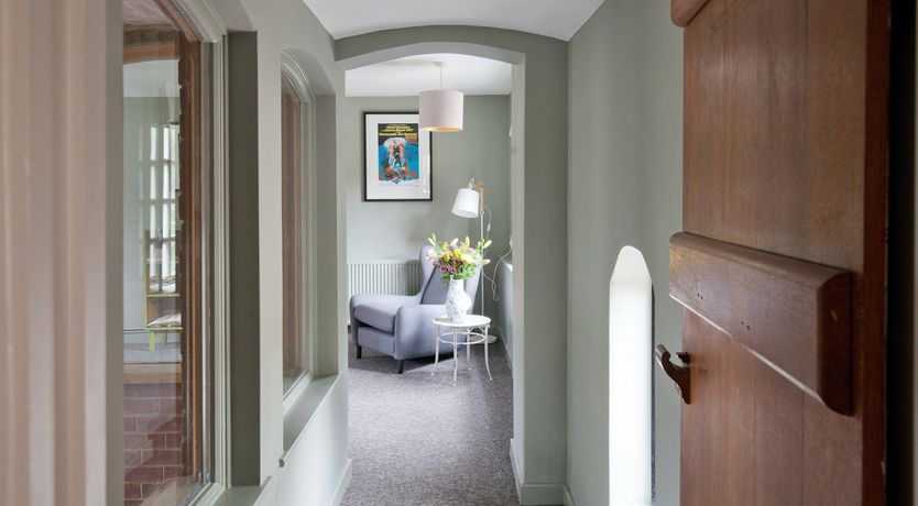 Photo of Cygnet Feather