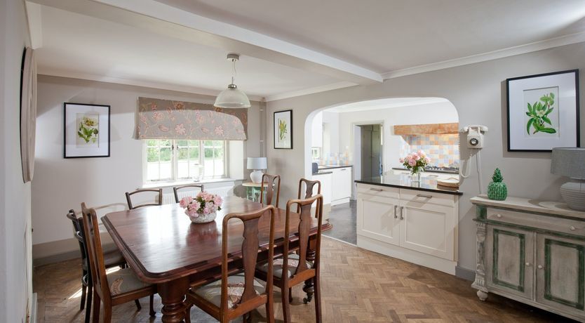 Photo of Cygnet Feather