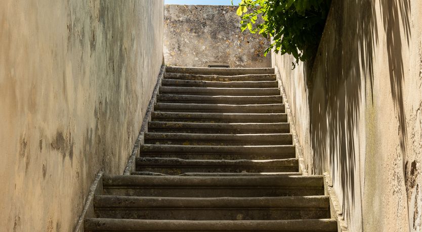 Photo of When Life Gives You Lemons