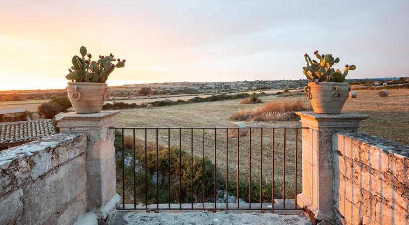 Photo of When Life Gives You Lemons