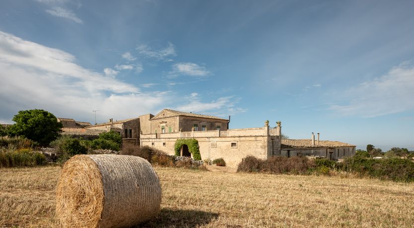 Photo of When Life Gives You Lemons