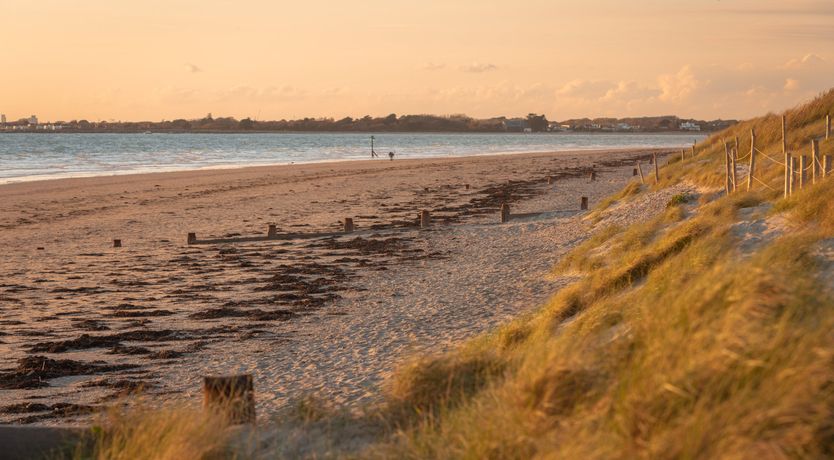 Photo of Elephant's Breath