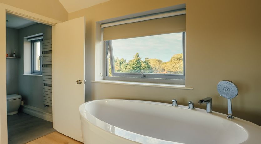 Photo of Elephant's Breath