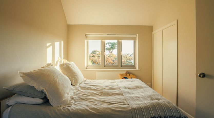 Photo of Elephant's Breath