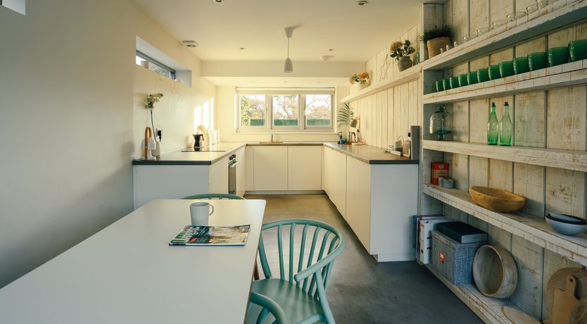 Photo of Elephant's Breath