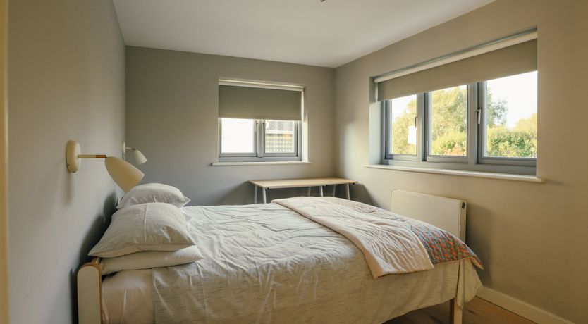 Photo of Elephant's Breath