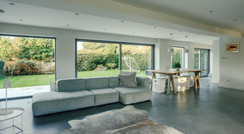 Photo of Elephant's Breath