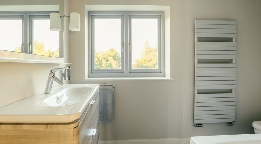 Photo of Elephant's Breath