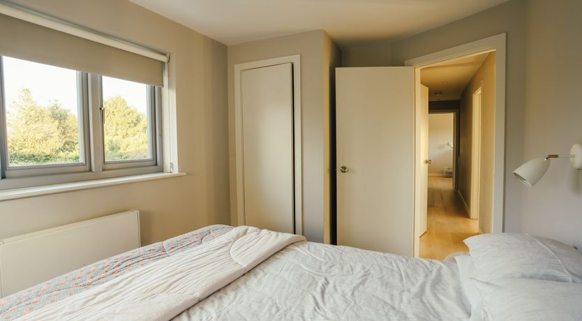 Photo of Elephant's Breath