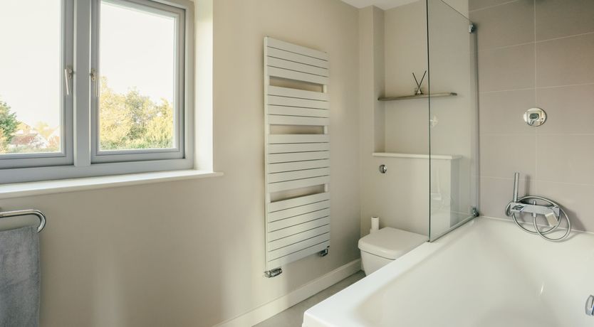 Photo of Elephant's Breath