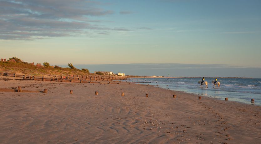 Photo of Elephant's Breath