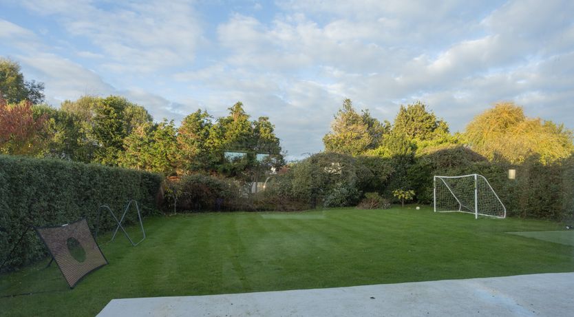 Photo of Elephant's Breath